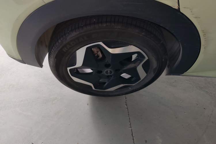 Used BYD Dolphin 2021 405 km Fashion Edition Exterior 8