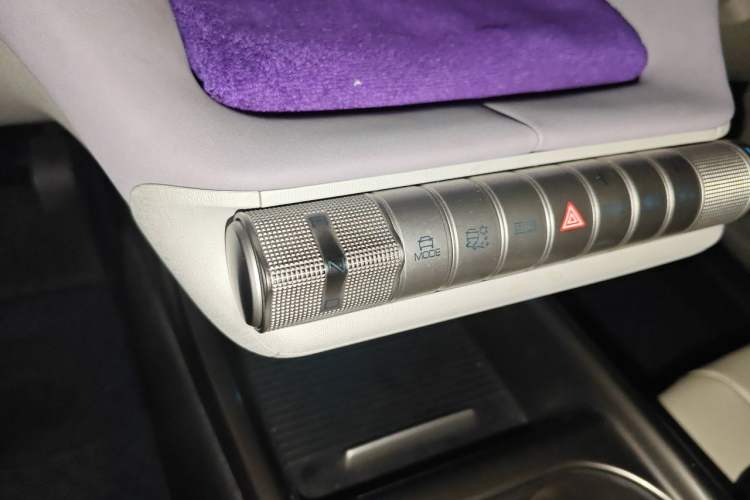 Used BYD Dolphin 2021 405 km Fashion Edition Gear Lever