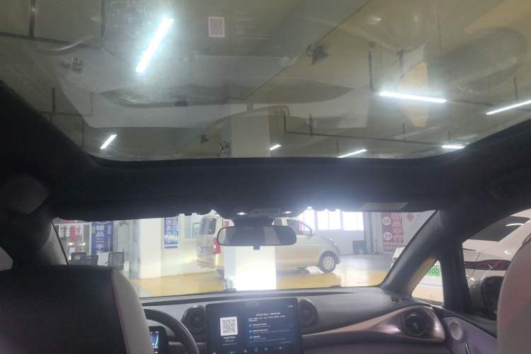 Used BYD Dolphin 2021 405 km Fashion Edition Headliner