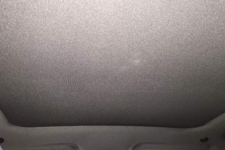 Used BYD Dolphin 2021 405 km Fashion Edition Headliner