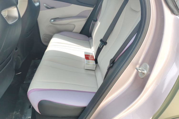 Used BYD Dolphin 2021 405 km Fashion Edition Left Rear Seat