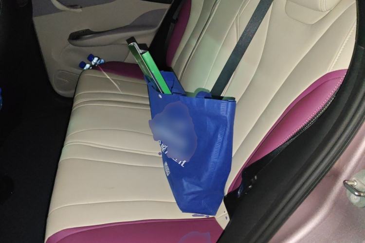 Used BYD Dolphin 2021 405 km Fashion Edition Left Rear Seat