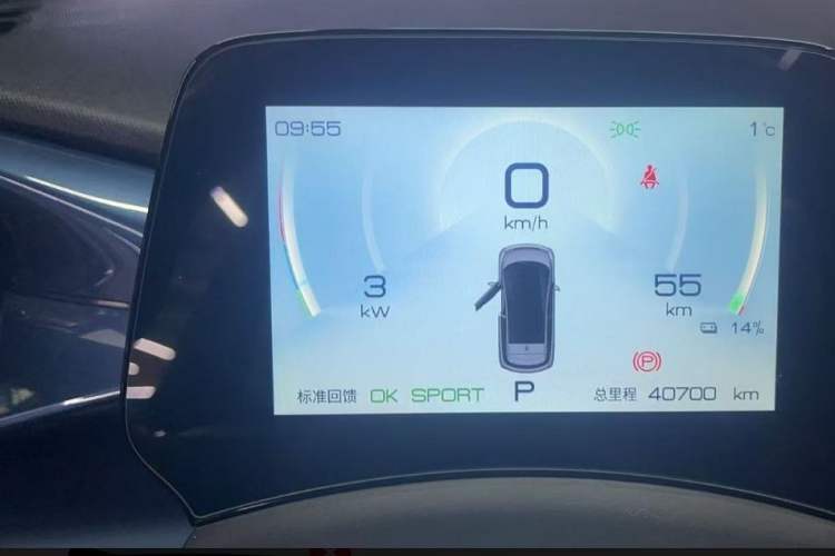 Used BYD Dolphin 2021 405 km Fashion Edition Odometer Close Up
