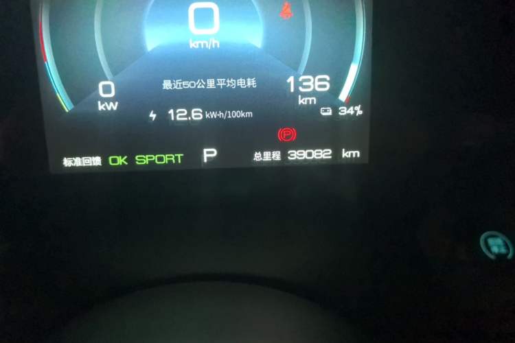 Used BYD Dolphin 2021 405 km Free Version Odometer Close Up