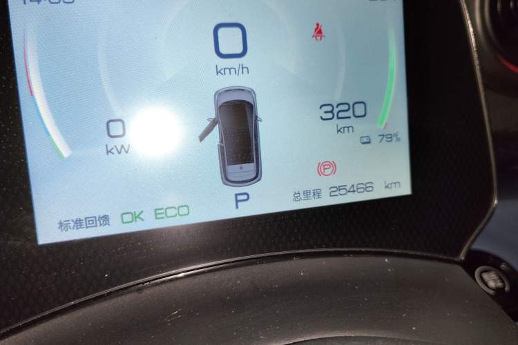 Used BYD Dolphin 2021 405 km Fashion Edition Odometer Close Up