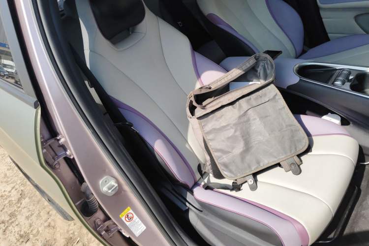 Used BYD Dolphin 2021 405 km Fashion Edition Right Front Seat