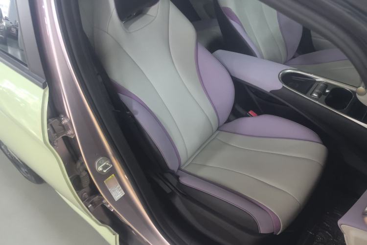 Used BYD Dolphin 2021 405 km Fashion Edition Right Front Seat