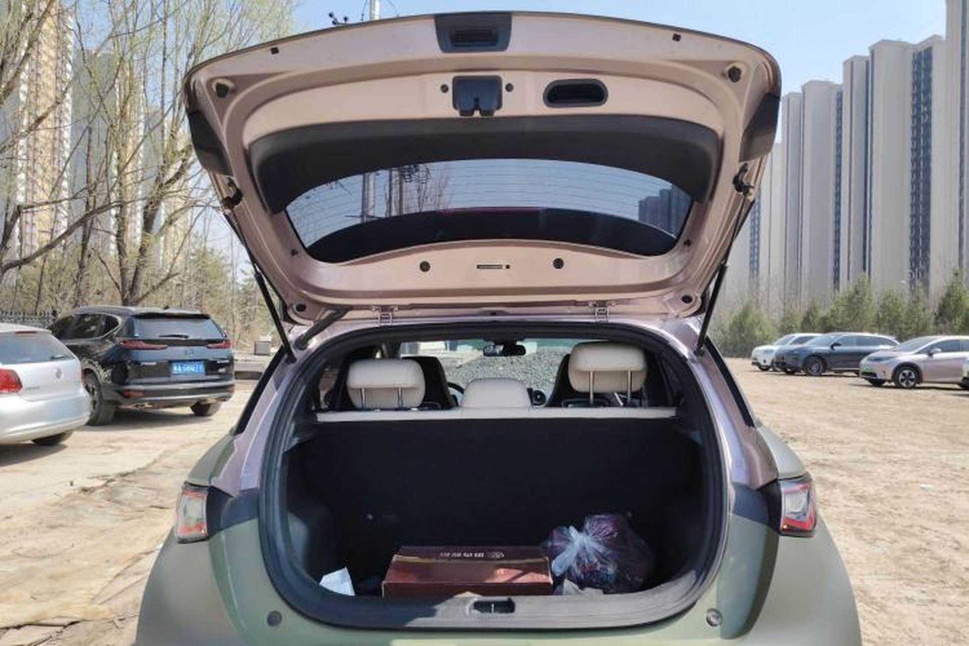 Used BYD Dolphin 2021 405 km Fashion Edition Trunk