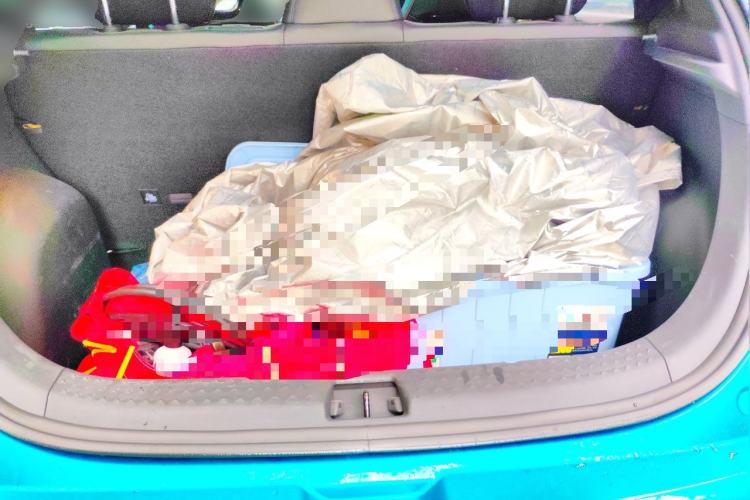 Used BYD Dolphin 2021 405 km Fashion Edition Trunk