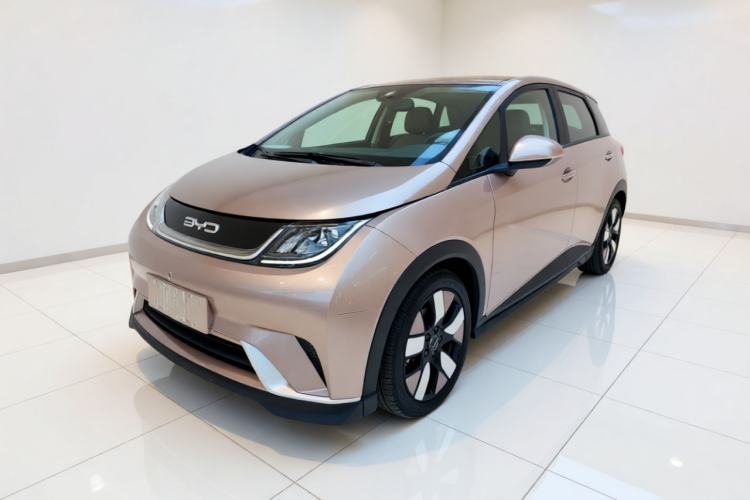 BYD Dolphin 2021 401km Knight Edition de segunda mano Guazi used car, China used car export, Used car for sale, Used  cars, Cheapest cars for sale
