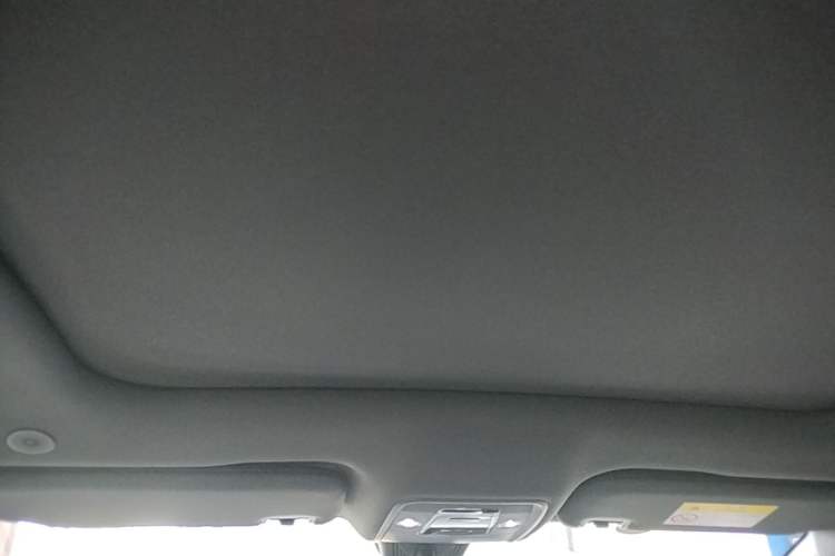 Used BYD Dolphin 2021 405 km Fashion Edition Headliner