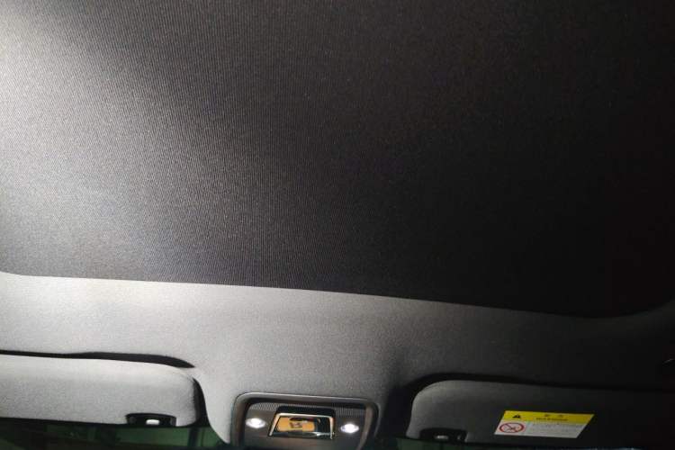 Used BYD Dolphin 2021 401km Knight Edition Headliner