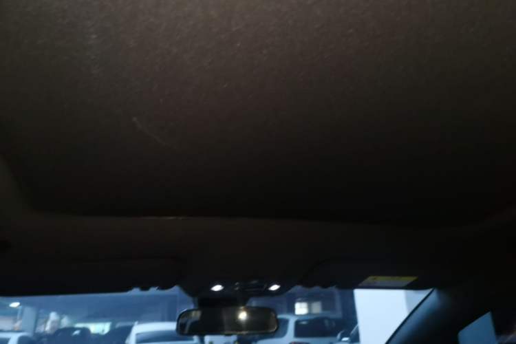 Used BYD Dolphin 2021 405 km Fashion Edition Headliner