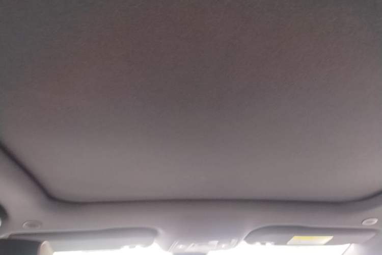 Used BYD Dolphin 2021 405 km Fashion Edition Headliner