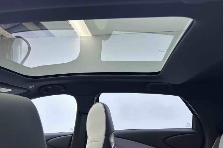 Used BYD Dolphin 2021 401km Knight Edition Headliner