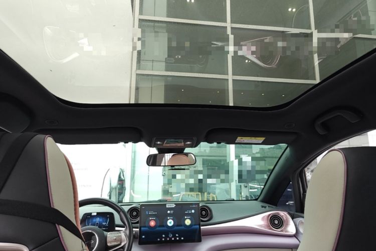 Used BYD Dolphin 2021 405 km Fashion Edition Headliner