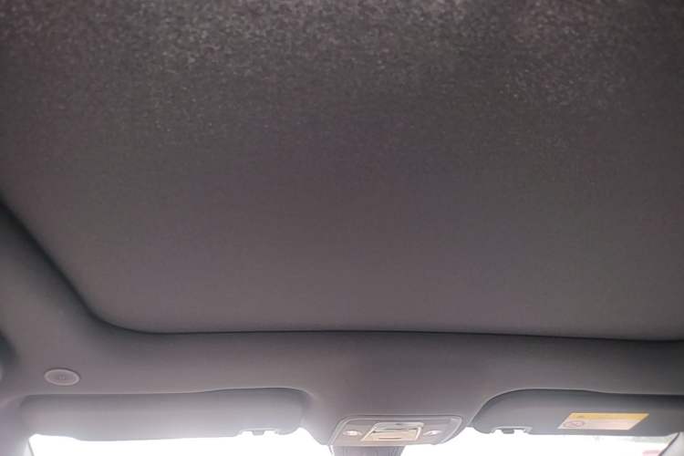 Used BYD Dolphin 2021 405 km Fashion Edition Headliner