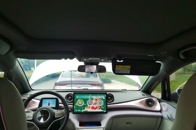 Used BYD Dolphin 2021 405 km Fashion Edition Headliner