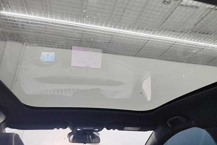 Used BYD Dolphin 2021 401km Knight Edition Headliner