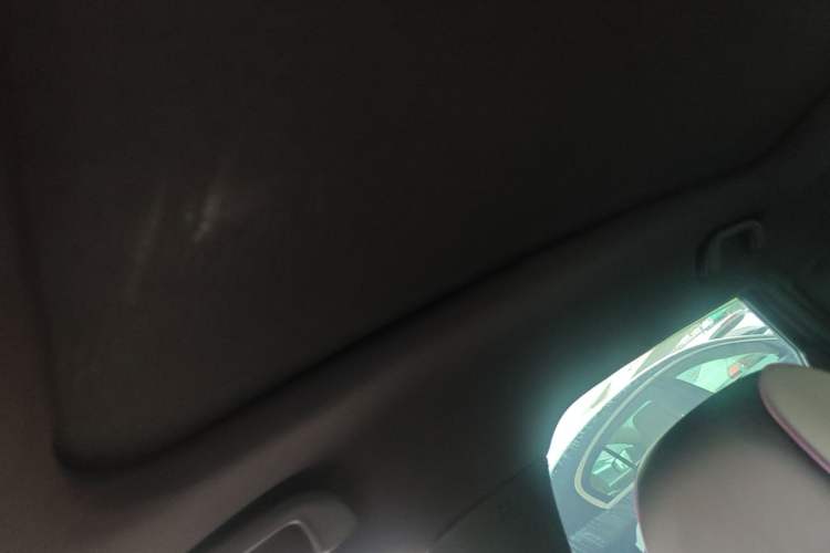 Used BYD Dolphin 2021 405 km Fashion Edition Headliner