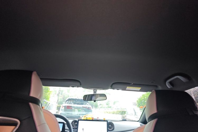 Used BYD Dolphin 2021 405 km Free Version Headliner