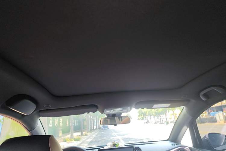 Used BYD Dolphin 2021 405 km Fashion Edition Headliner
