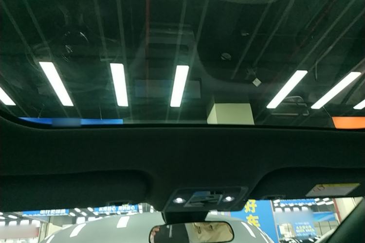 Used BYD Dolphin 2021 405 km Fashion Edition Headliner