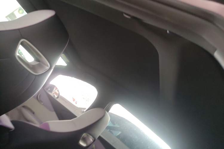Used BYD Dolphin 2021 405 km Fashion Edition Headliner