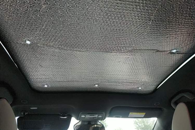 Used BYD Dolphin 2021 401km Knight Edition Headliner