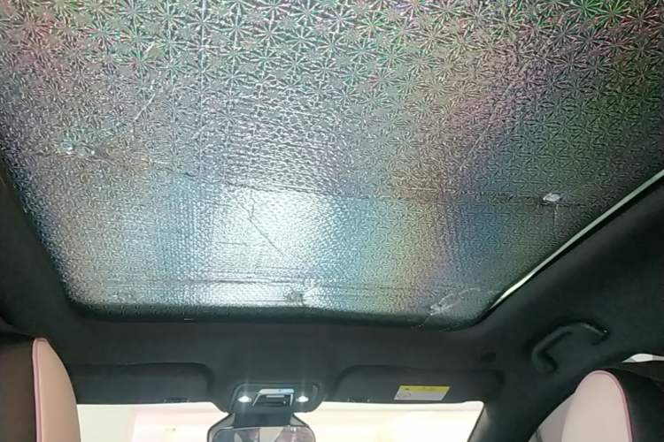 Used BYD Dolphin 2021 401km Knight Edition Headliner
