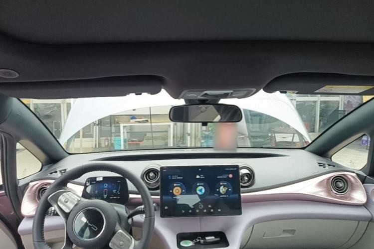 Used BYD Dolphin 2021 405 km Fashion Edition Headliner