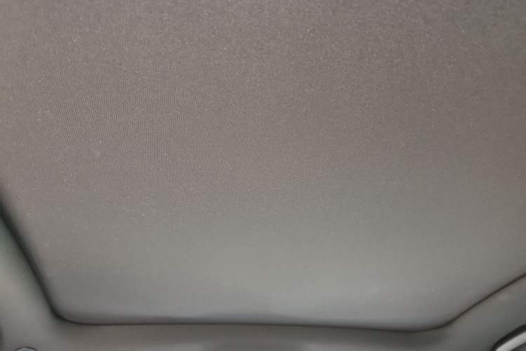 Used BYD Dolphin 2021 405 km Free Version Headliner