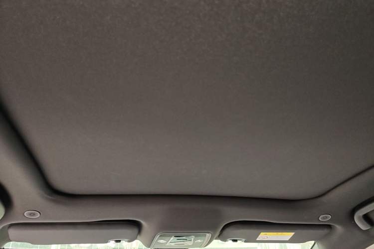 Used BYD Dolphin 2021 405 km Fashion Edition Headliner