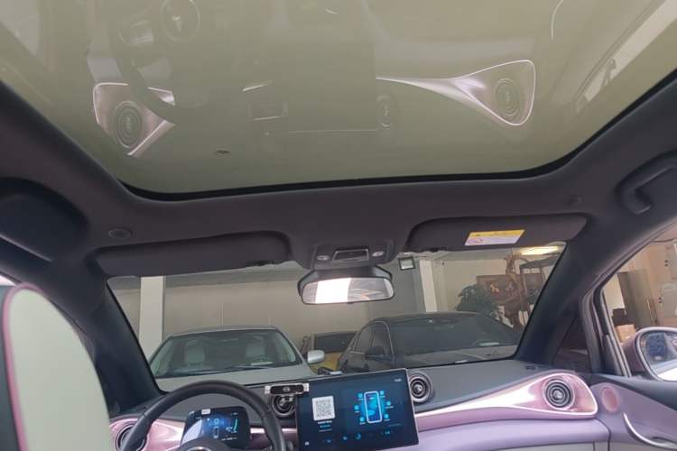 Used BYD Dolphin 2021 401km Knight Edition Headliner