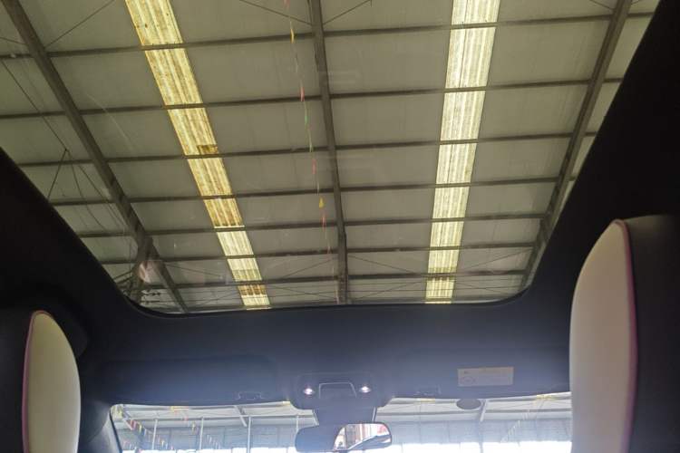 Used BYD Dolphin 2021 405 km Fashion Edition Headliner