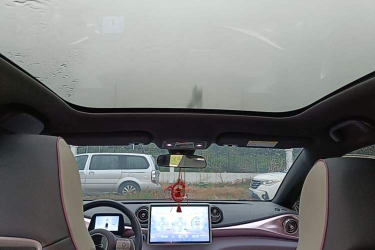 Used BYD Dolphin 2021 405 km Fashion Edition Headliner