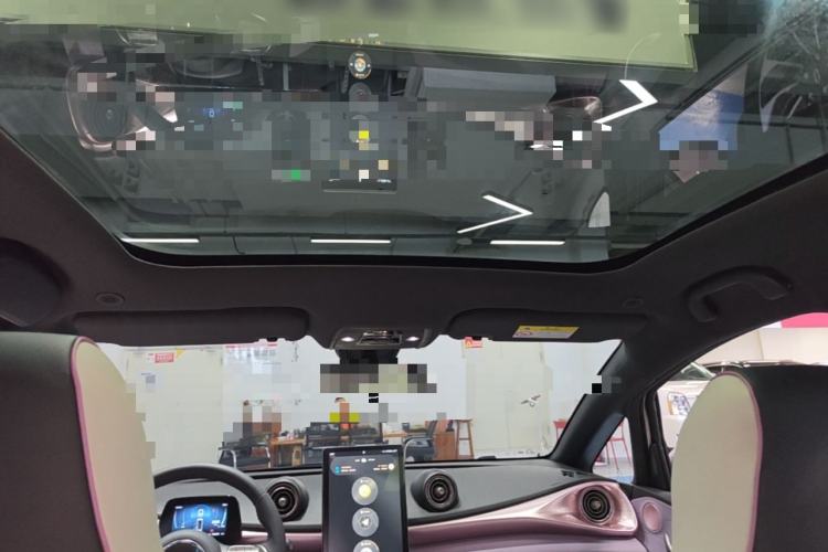 Used BYD Dolphin 2021 405 km Fashion Edition Headliner