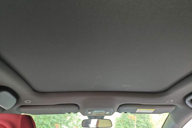 Used BYD Dolphin 2021 405 km Fashion Edition Headliner