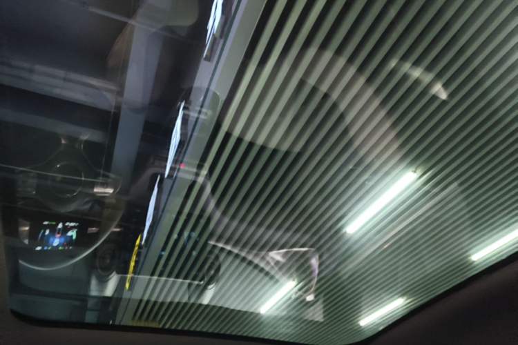 Used BYD Dolphin 2021 405 km Fashion Edition Headliner