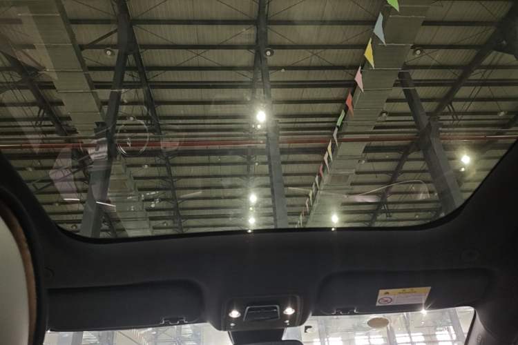 Used BYD Dolphin 2021 405 km Free Version Headliner