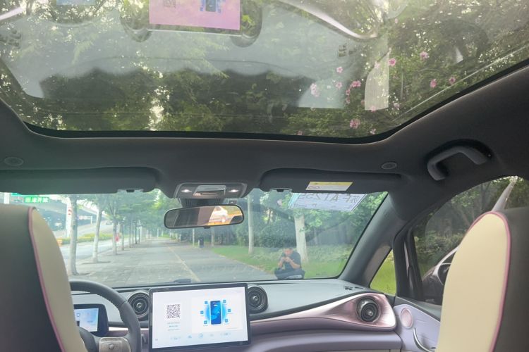 Used BYD Dolphin 2021 405 km Fashion Edition Headliner