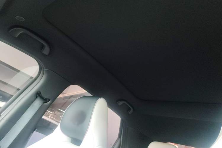 Used BYD Dolphin 2021 405 km Fashion Edition Headliner
