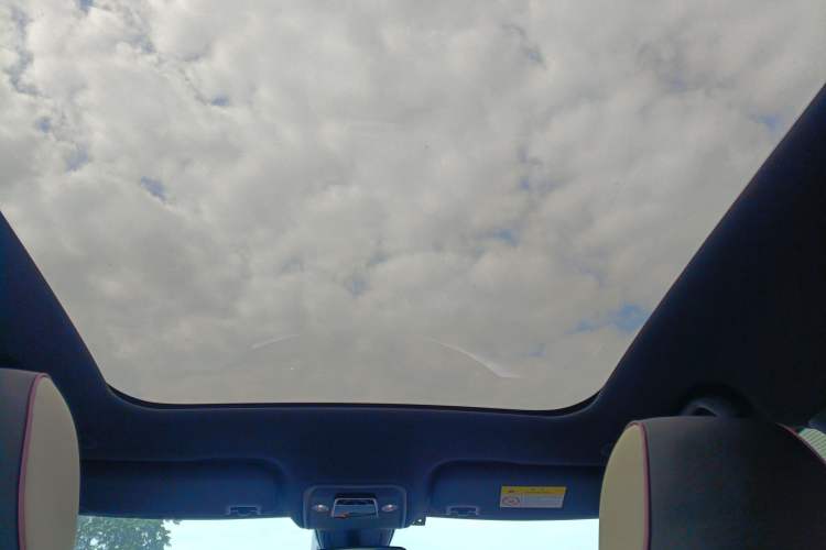 Used BYD Dolphin 2021 405 km Fashion Edition Headliner