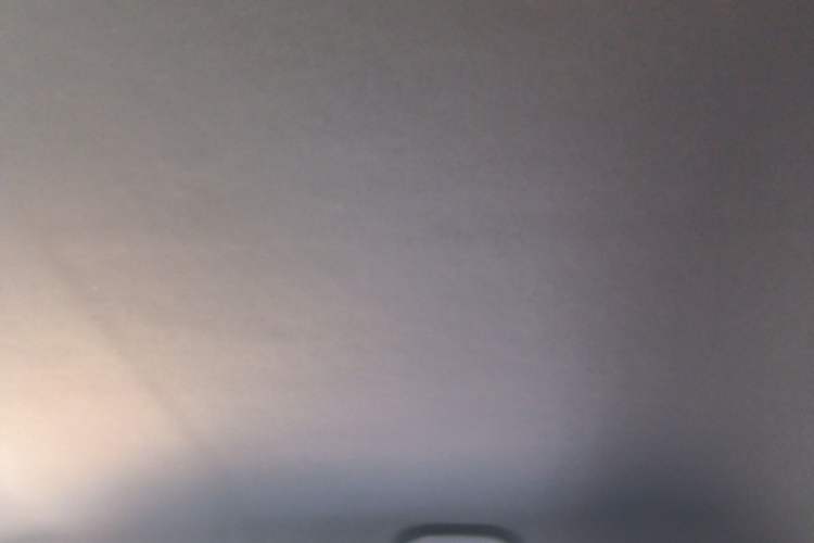 Used BYD Dolphin 2021 405 km Free Version Headliner