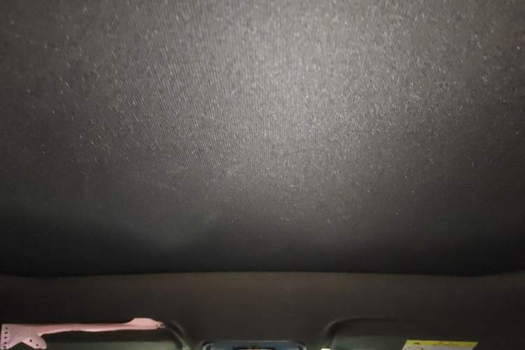 Used BYD Dolphin 2021 405 km Fashion Edition Headliner
