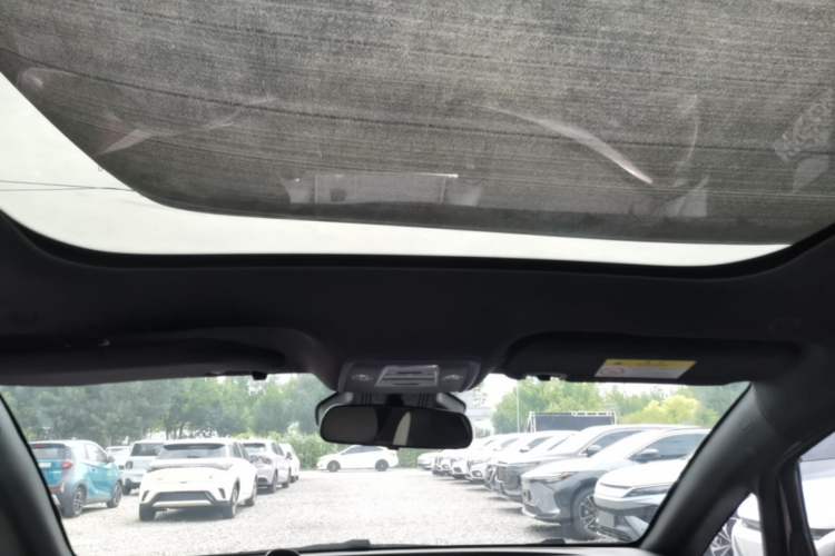 Used BYD Dolphin 2021 401km Knight Edition Headliner