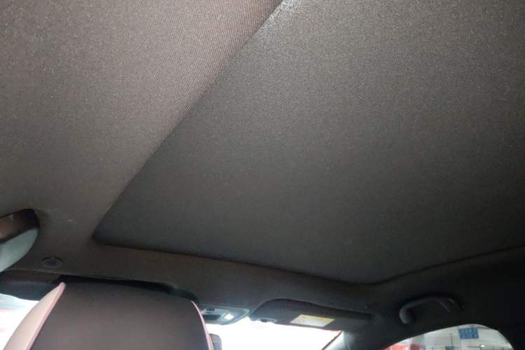 Used BYD Dolphin 2021 405 km Fashion Edition Headliner