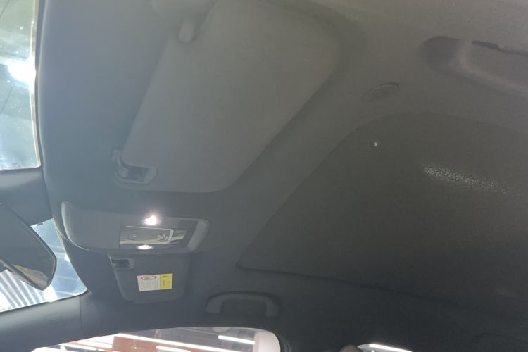 Used BYD Dolphin 2021 401km Knight Edition Headliner
