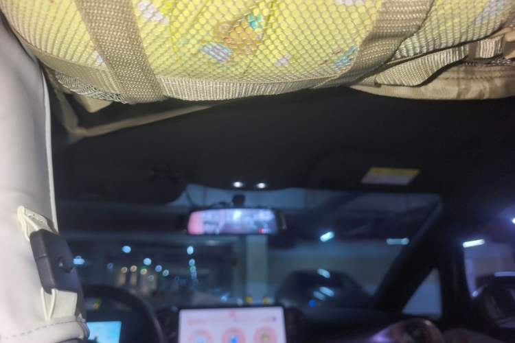 Used BYD Dolphin 2021 405 km Free Version Headliner