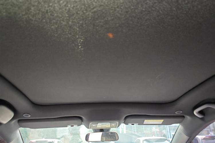 Used BYD Dolphin 2021 405 km Fashion Edition Headliner